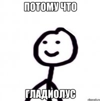 потому что гладиолус