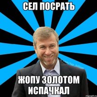 Сел посрать Жопу золотом испачкал