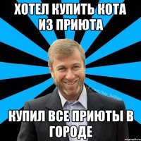 Хотел купить кота из приюта Купил все приюты в городе