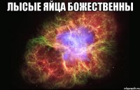 лысые яйца божественны 