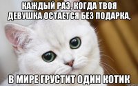 каждый раз, когда твоя девушка остается без подарка, в мире грустит один котик