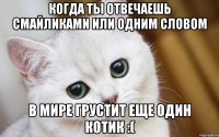 Когда ты отвечаешь смайликами или одним словом в мире грустит еще один котик :(