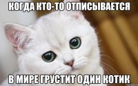 когда кто-то отписывается в мире грустит один котик