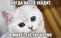 Когда настя уходит в мире грустит котик