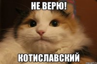 не верю! котиславский