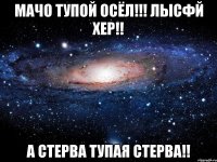 МАЧО ТУПОЙ ОСЁЛ!!! ЛЫСФЙ ХЕР!! А СТЕРВА ТУПАЯ СТЕРВА!!