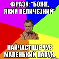 фразу: “БОЖЕ, ЯКИЙ ВЕЛИЧЕЗНИЙ” найчастіше чує маленький павук.