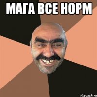 мага все норм 