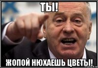 Ты! жопой нюхаешь цветы!