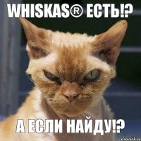 Whiskas® есть!? А если найду!?