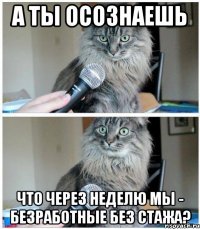 А ты осознаешь что через неделю мы - безработные без стажа?