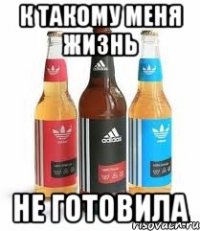 К такому меня жизнь не готовила