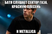 батя слушает сектор газа, красную плесень и metallica