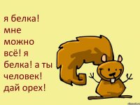 я белка! мне можно всё! я белка! а ты человек! дай орех!