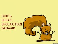 ОПЯТЬ БЕЛКИ БРОСАЮТЬСЯ ЗАЕБАЛИ