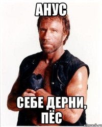 анус себе дерни, пёс