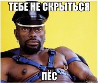 ТЕБЕ НЕ СКРЫТЬСЯ ПЁС