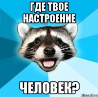 Где твое настроение Человек?