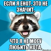 Если я енот, это не значит, что я не могу любить кота.