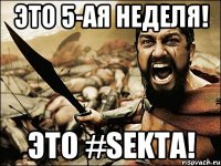 ЭТО 5-ая НЕДЕЛЯ! ЭТО #SEKTA!