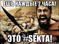 ЕШЬ КАЖДЫЕ 2 ЧАСА! ЭТО #SEKTA!