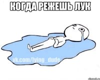 Когда режешь лук 