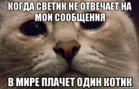 когда светик не отвечает на мои сообщения в мире плачет один котик