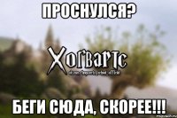 Проснулся? Беги сюда, скорее!!!