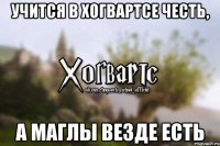 учится в Хогвартсе честь, а маглы везде есть