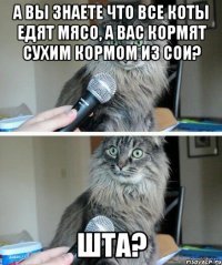 а вы знаете что все коты едят мясо, а вас кормят сухим кормом из сои? шта?