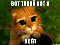 вот такой вот я осёл