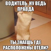 Водитель, ну ведь правда Ты знаешь где расположены отели?