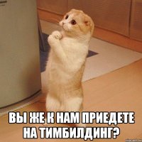  Вы же к нам приедете на тимбилдинг?