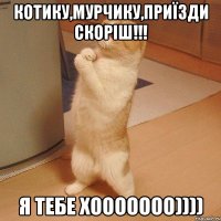 котику,мурчику,приїзди скоріш!!! я тебе хооооооо))))