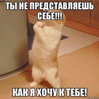 Ты не представляешь себе!!! Как я хочу к тебе!