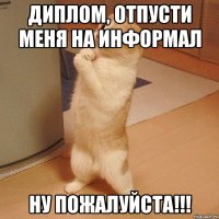 Диплом, отпусти меня на информал ну пожалуйста!!!