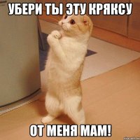 убери ты эту Кряксу от меня мам!