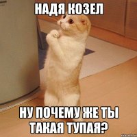 Надя Козел ну почему же ты такая тупая?