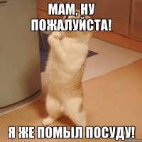 Мам, ну пожалуйста! я же помыл посуду!