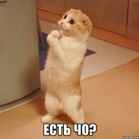  Есть чо?