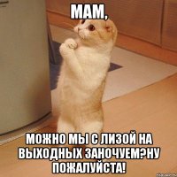 Мам, Можно мы с Лизой на выходных заночуем?Ну пожалуйста!