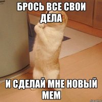 Брось все свои дела И сделай мне новый мем