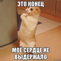 Это конец Моё сердце не выдержало