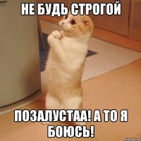 не будь строгой позалустаа! а то я боюсь!