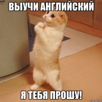 Выучи английский Я тебя прошу!