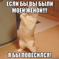 Если бы вы были моей женой!!! Я бы повесился!