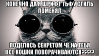 конечно да я шрифт тьфу стиль поменял поделись секретом чё на тебя все кошки поворачиваются????