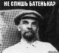 Не спишь батенька? 