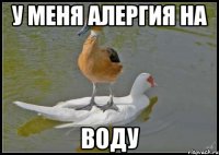 у меня алергия на воду