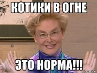 КОТИКИ в ОГНЕ ЭТО НОРМА!!!